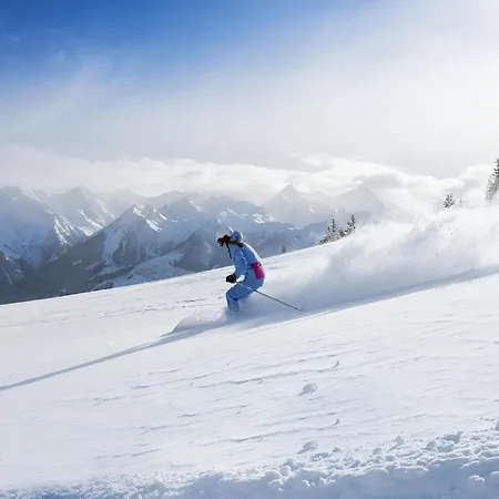 Near The Kitzski Holiday home Hollersbach im Pinzgau