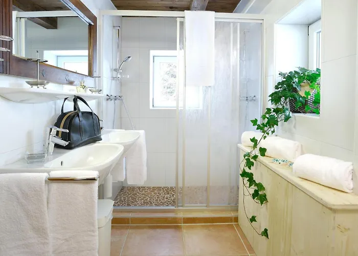 In Hollersbach Near Kitzski